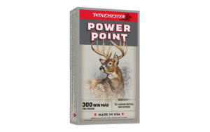 WIN SPRX PWR PNT 300WIN 180GR 20/200