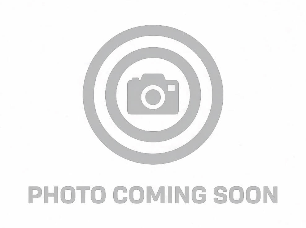 Shark Coast Tactical SCC07251PILL-P Pillager  5.56 NATO 30+1 10.50" Black Nitride Threaded Barrel, Aluminum Receiver w/Picatinny Rail, M-LOK Handguard, Polymer SB Tactical SBA3 Brace, Polymer Grip